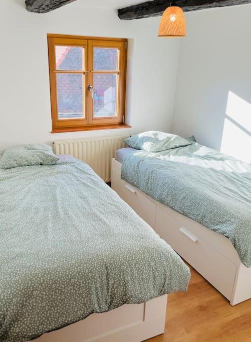 Bien Dans Vos Schlopps Villa Dambach Exteriör bild